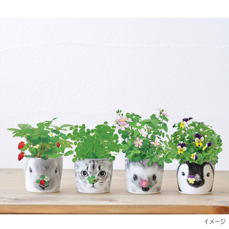 St New Grown Pottery Set Hannah & Animals GD –