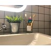 Onsogi Glass Toothbrush and Toothpaste Holder with Bamboo Divider for