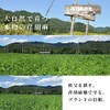 【 国産 無農薬 えごま 荏胡麻屋 】 荏胡麻 オイルカプセル 1袋15日分(4粒／日)｜60粒／袋 オメガ3