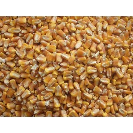 Bulk Whole Corn for Wildlife Feeding (1, 10 Pounds)