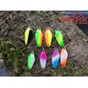 Paradox Fishing Trout Spoon Set I 8 Spoons 2.5 g
