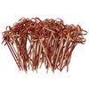 NUOLUX Cocktail Pin, Fruit Picks, Bamboo Disposable Forks, 3.5 inches