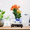 YARNOW Ceramic Bowl Hydroponic Planter Water Lily Bowl with Stand