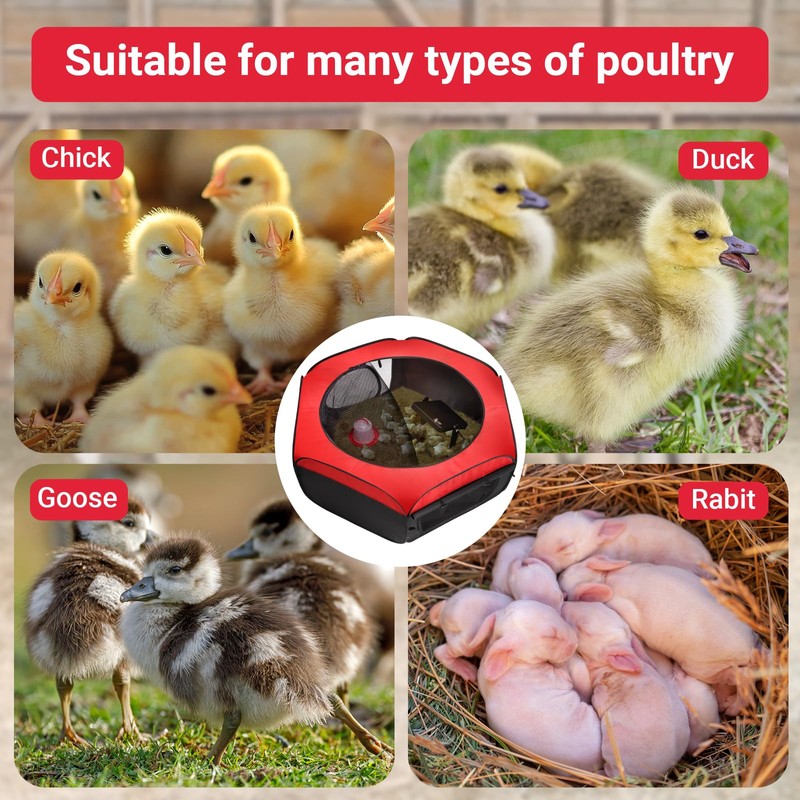 FAMIROSA Brooder Box for Chicks Starter Kit, Pop up Chicken