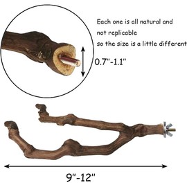 kathson Natural Parrot Perch Bird Stand Pole Wild Grape Stick Paw Grinding Fork Parakeet Climbing Standing Branches Toy Chewable Cage Accessories for Small Budgies Cockatiels Lovebirds