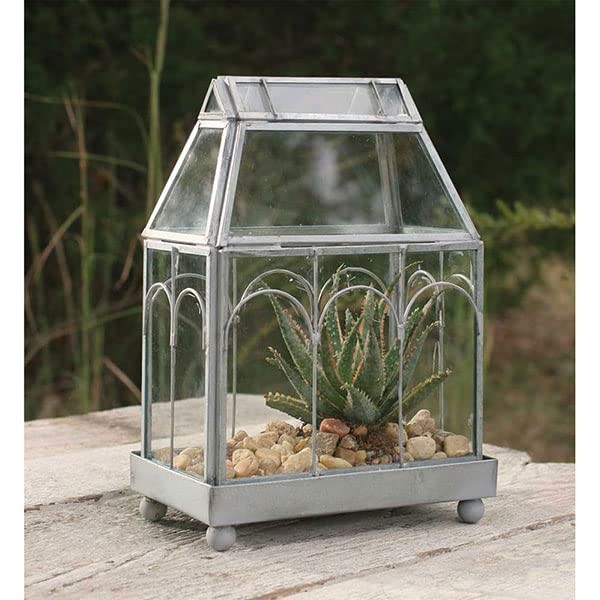Archway Glass Terrarium, Upgrade. (Clear Glass)