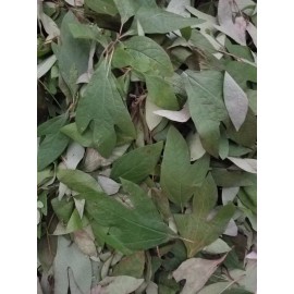 Fresh Gumbo File' South La ,Style 5.5 oz Jar