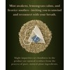 EZR Leaf Mint Herbal Tea, Caffeine Free Decaf, Pyramid Tea