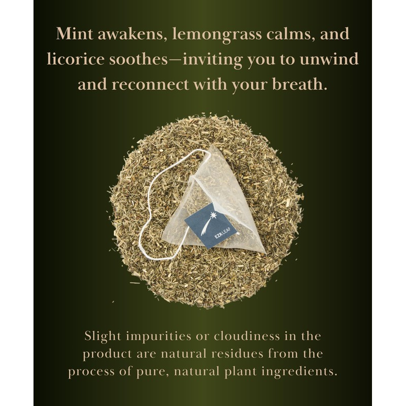 EZR Leaf Mint Herbal Tea, Caffeine Free Decaf, Pyramid Tea