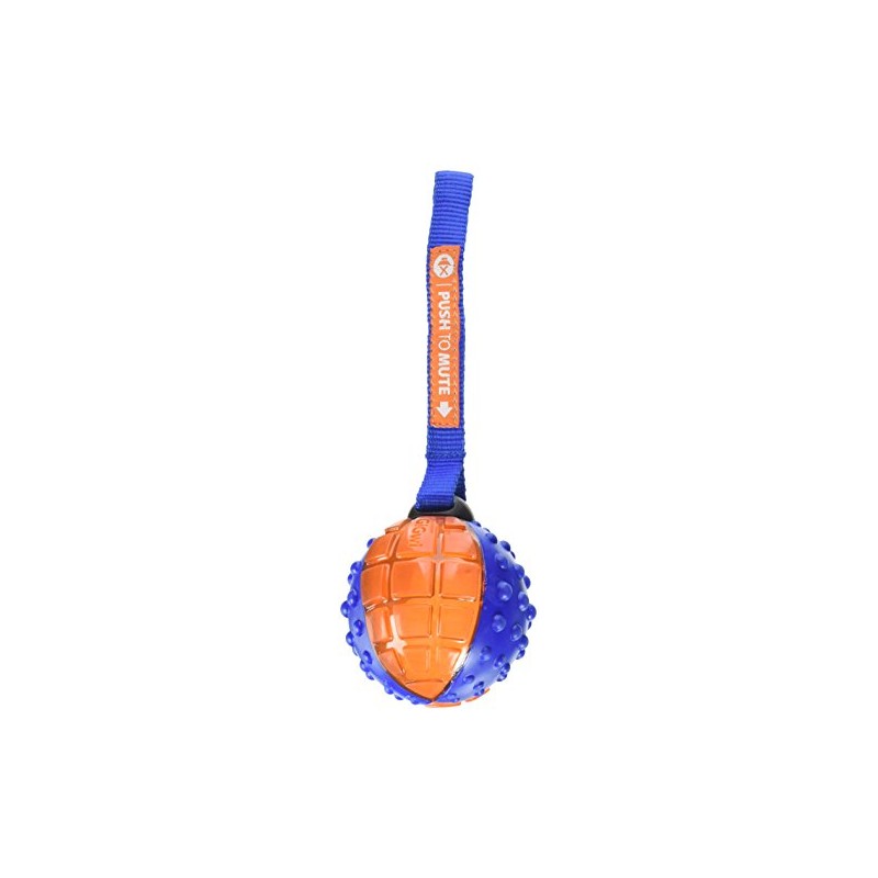 SPOT Ethical Pets Push to Mute Dog Toy, Ball with