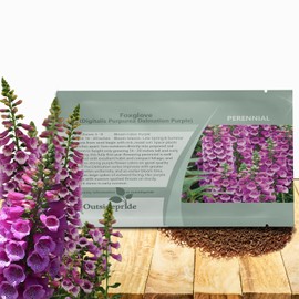 Outsidepride Digitalis Purpurea Dalmatian Purple Foxglove Seeds – 50 Pcs Perennial, Prolific, Tall Growing Flower Seeds with Pollinator-Friendly Blooms for Shaded Gardens & Outdoor Landscapes
