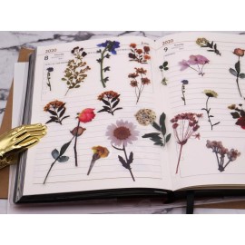 Unbranded Pet flower stickers | 40pcs/pack flower botanical garden leave rose Pet stickers