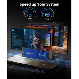 ORICO NVMe SSD de 256 GB M.2 con disipador de calor, unidad interna de estado sólido PCIe Gen3x4 2280, caché SLC 3D NAND, hasta 1800 MB/s, compatible con computadoras portátiles y PC de sobremesa -J10