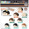 Skjapan Character Fancy Section, Squishy Mascot, Haikyu!! Vol. 2, Box