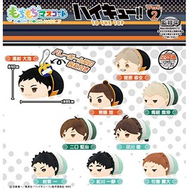 Skjapan Character Fancy Section, Squishy Mascot, Haikyu!! Vol. 2, Box of 9