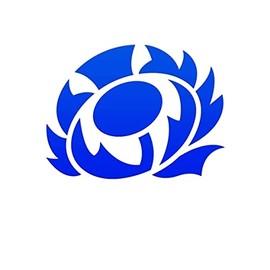 Scottish Thistle Sticker, Vinyl Decal Sticker, Car Window Bumper Sticker, Window Bumper Sticker, Scotlanf Rugby Sticker, Caravan Sticker, Funny Car Sticker 150mm