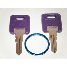 Purple RV Keys G301 to G350 RV Motorhome Trailer Purple Global Link Keys Cut Replacement Keys for RV with A Blue Key Ring Travel Trailer Motor Home Toy Hauler Keys FIC (G349)