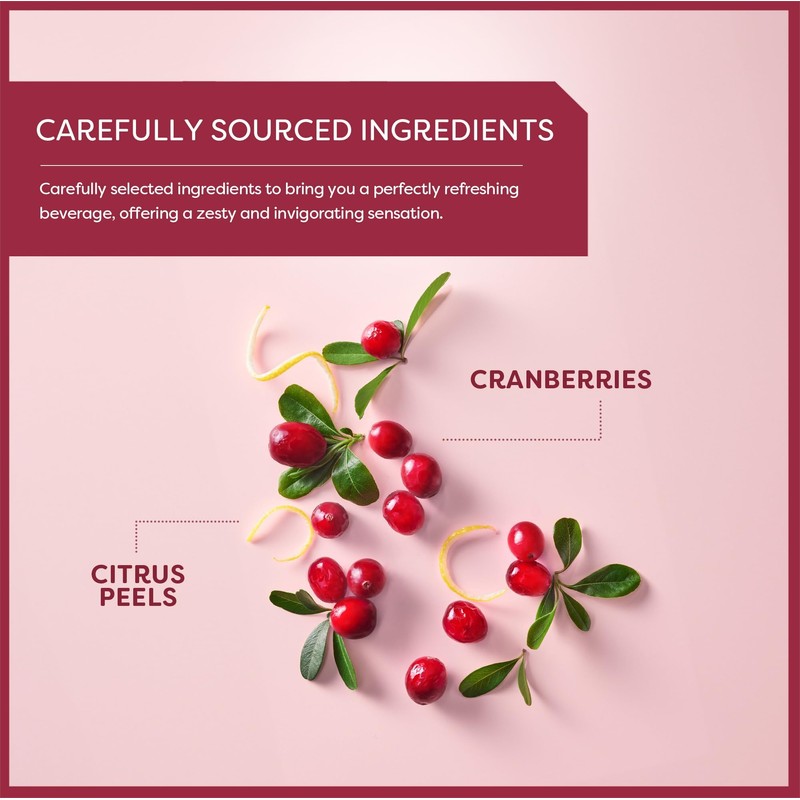 Wissotzky Cranberry Herbal Tea (3 Pack - 60 Teabags) |