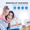Neporal Full Spectrum Light Bulb, 6000K Natural Sunlight Bulbs, Cool