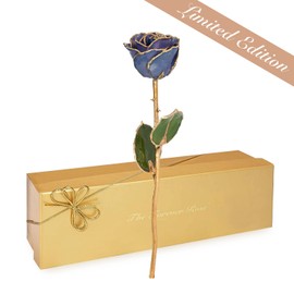 Forever Rose 24K Limited Edition Gold Dipped Tanzanite Rose, The December Birthstone, A Unique & Everlasting Real Rose Hand Dipped in 24K Gold, 11” to 12”