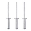 Blind Rivets 50PCS 304 Stainless Steel Strong Silver Pull Rivets