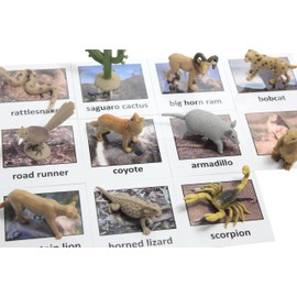 Montessori Desert Animal Match Cards and Figurines. Nomenclature Science Work