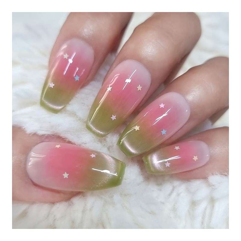 Shy Guava Handmade Nail Tip Magnetic Gradient - Short Oval