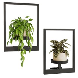 Bamworld Bamworld Wall Planters for Indoor Plants Metal Wall Plant Holder Plant Hanger Wall Decor Wall-Mounted Wall Hanging Planters Outdoor Plant Rack Black 2 Pack (Patent Design)