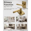Champagne Bronze Door Knobs, Satin Brass Golden Interior Door Handles