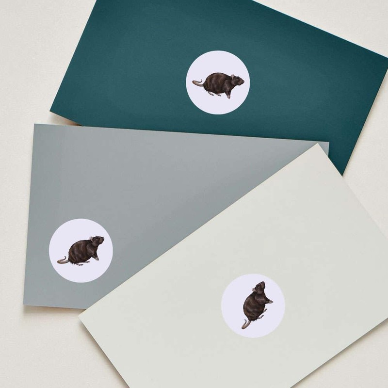 24 x 40mm Round 'Brown Rat' Stickers (SK00049953)