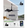 LANMEL 28 Inch Plug-In Outdoor Ceiling Fan with Light and