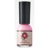 Kyo no Gofun Nail Autumn Cherry Blossoms, 0.3 fl oz