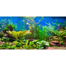AWERT 48x18 inches Aquarium Background Aquatic Plant River Bed & Lake Fish Tank Background Vinyl