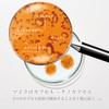 CC1 シーシーワン フェイスウォッシングモイスト 150g CC01
