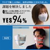 Washable Mask, Worn by Moto-Ministers Kawano, Cool Dry, 3D Piping,