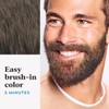 Just For Men Mustache & Beard, Beard Dye for Men