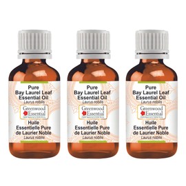 Greenwood Essential Pure Bay Laurel Leaf Essential Oil (Laurus Nobilis) Natural Therapeutic Quality Steam Distilled (Pack of Three) 100 ml x 3 (10 oz)