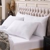 Gooeb Squishy Flat Bed Pillows Standard Size Set of 2