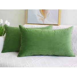 Lutanky Velvet Cushion Covers (Pack of 2) Lovely Rectangle Throw Pillow Cases Soft Solid Decorative Pillow Covers for Sofa Bedroom Car 12x20 Inch 30 x 50 cm(olive-green, 2 pieces)