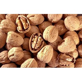 Walnuts In-shell (Whole) | California Grown (20) Lbs Pounds