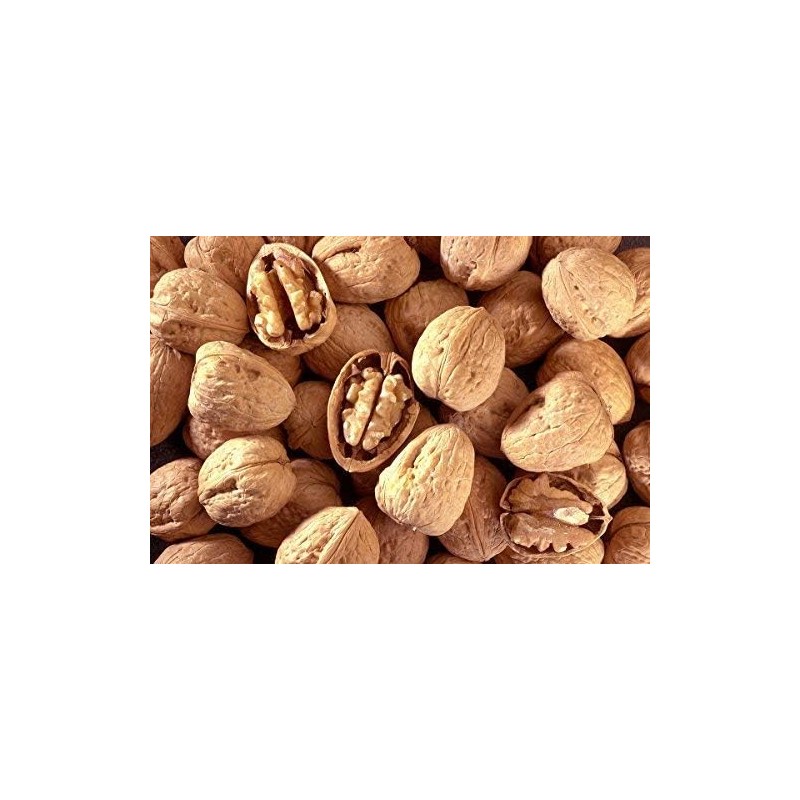 Walnuts In-shell (Whole) | California Grown (20) Lbs Pounds