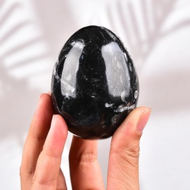 AMOYSTONE Single Healing Crystal Rock Egg Orthoceras Stone Large with Base, Home Decor Collect, Height 3.5-4"