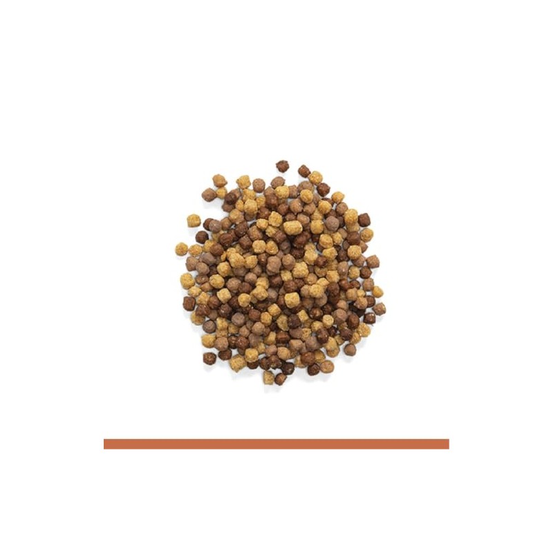 ZuPreem ALIMENTO NUTBLEND Sabor Natural A NUECES Loros M/G 2