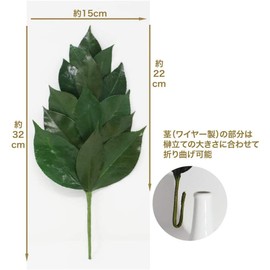 A&K Sakaki Preserved (M Size: 1 pair, Approx. Height 12.6 inches (32 cm) x Width 5.9 inches (15 cm), No need to change water, Keep Beautiful, Made with Premium Camellia Leaves (Tanba), Shinto Shelf, For Offering