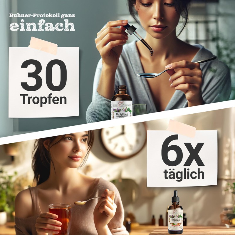 Phoenix der Lebenskraft EhrlichEx & AnaplasmEx Life Elixir - Herbal