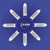 Kashi Scientific Kashi Scientific Conical Centrifuge Tubes 50mL, [300 Pack]