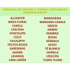 La Perfumm 2 Esencias Aromáticas De 50ml Hidrosolubles Humidificador