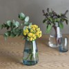 KINTO 20841 Flower Vase, Aqua Culture Base, 3.1 inches (80