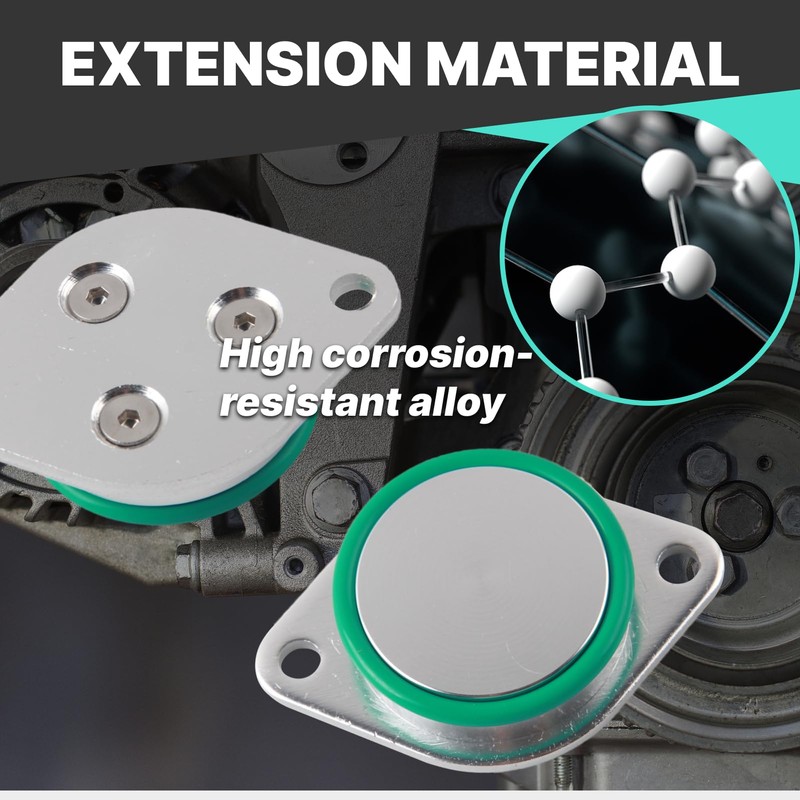 Hugwish EGR Valve Kit for N47 N47S 2.0 Diesel Engines,