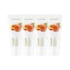 Nature Republic [1+1+1+1] Fresh Herb Peach Foam Cleansing, Single Option